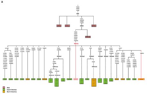 Language Family Tree Asia - Kenjutaku