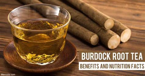 Burdock Root Tea: Benefits and Nutrition Facts