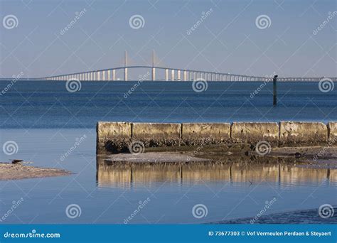 The sunshine skyway bridge editorial stock photo. Image of sunshine ...