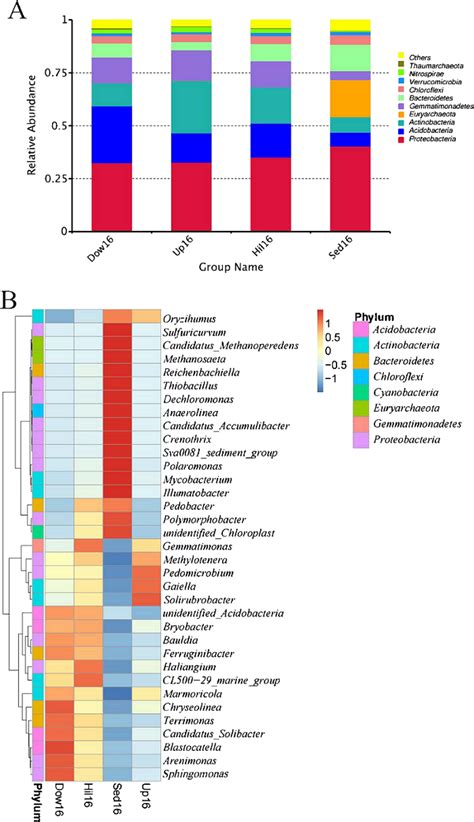 16s rRNA Metagenomics & Biodiversity Analysis of Melt Water Soil | Next Generation Sequencing ...