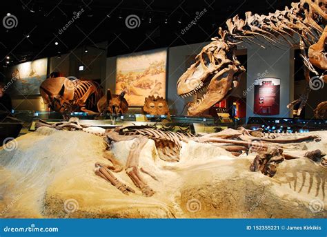 A Dinosaur Exhibit at the Field Museum, Chicago Editorial Photo - Image of cultural, culture ...