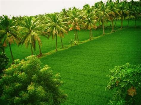 kona4 Konaseema Andhalu - Beautiful Images of The Coastline Of Andhra | Beautiful places nature ...