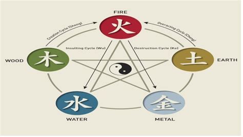 The Five Chinese Zodiac Elements: – Psychic Cafe Tauranga