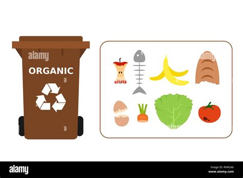 Brown trash can with organic waste suitable for recycling. Recycling organic waste, compost ...