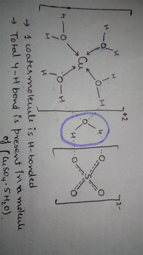 How many hydrogen bonded water molecule(s) are present in CuSO4 5H2O ...