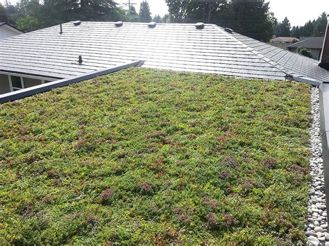 Green Roof Installation - BestWest Group