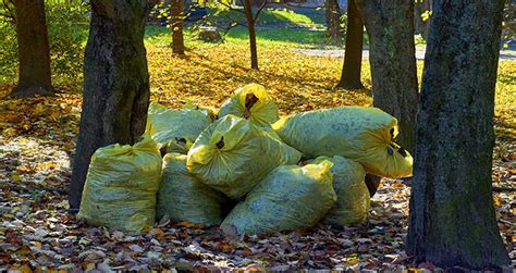 Anaerobic Composting (Is it Good or Bad for Your Garden?)