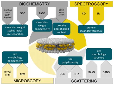 Overview of the physicochemical techniques commonly used for the ...