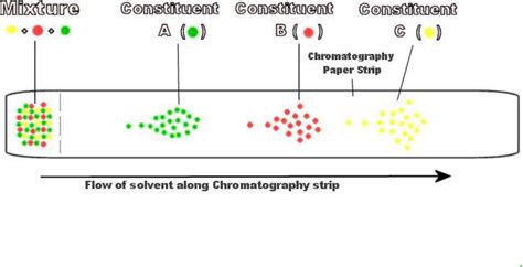 🌈 Chromatography examples. Chromatography. 2022-10-28