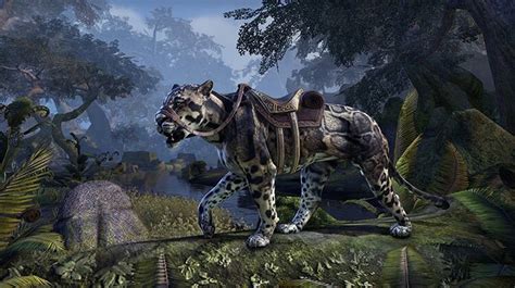 Crown Store Showcase: August 7th, 2015 - Elder Scrolls Online