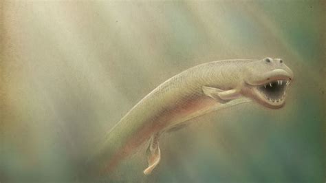 New Discovery Could Explain How Sea Creatures Evolved to Walk on Land