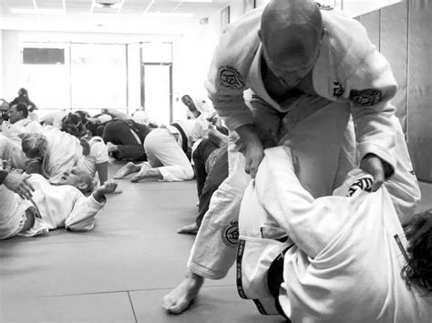 The Belt Promotion System in Brazilian Jiu-Jitsu: Progression Through ...