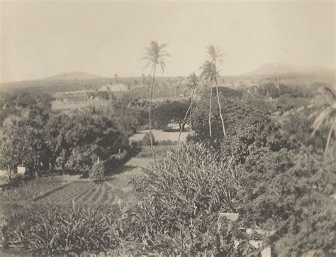 HISTORY — MOANALUA GARDENS