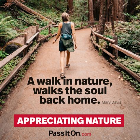 “A walk in nature, walks the soul back home.” —Mary Davis | PassItOn.com