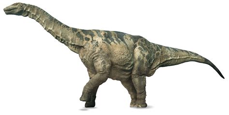 Argentinosaurus | Argentinosaurus Facts | DK Find Out