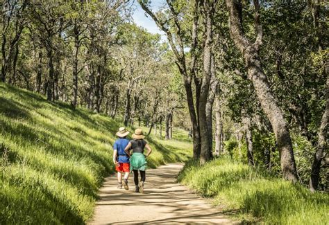 The Best Hiking Trails in the Bay Area