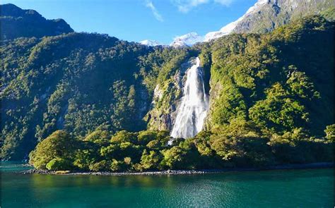 Exploring Milford Sound Fjord in New Zealand