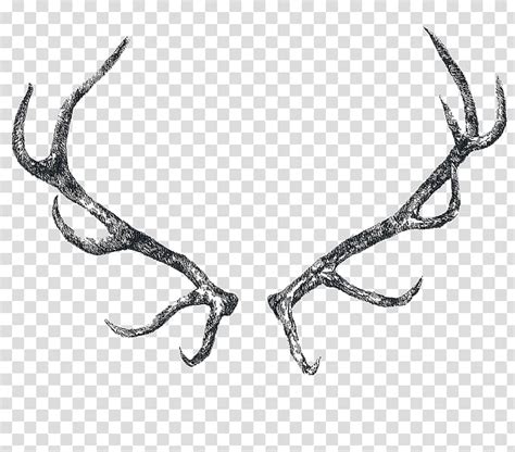 elk antler clip art 20 free Cliparts | Download images on Clipground 2024