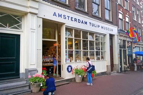 Tulip Museum - Explore the History of the Tulip – Go Guides