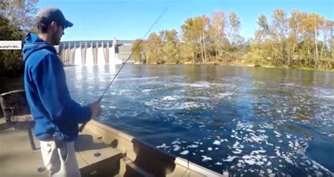 October 31 Fishing Report - Lilleys' Landing Resort & Marina