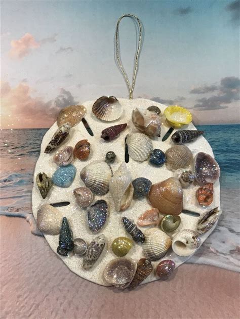 XLarge Real Sand dollar With Beach Seashells | Sparkles glitter, Sea shells, Beach gifts