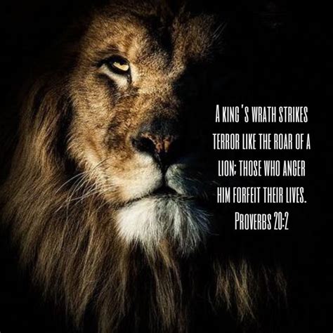 Proverbs 20:2, New International Version (NIV) | Lion quotes, Lion of judah, Lion