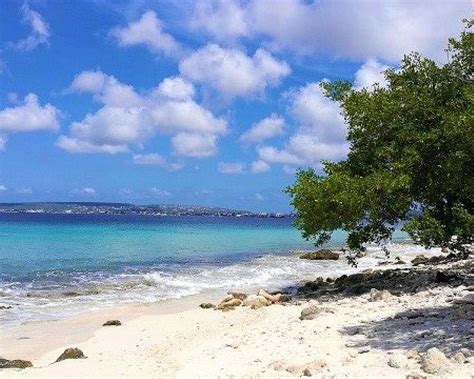 THE BEST Kralendijk Beaches (Updated 2024) - Tripadvisor