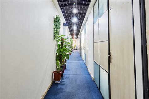 Office Space Corridor Picture And HD Photos | Free Download On Lovepik