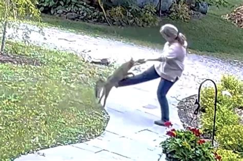 Ithaca woman attacked by rabid fox: video