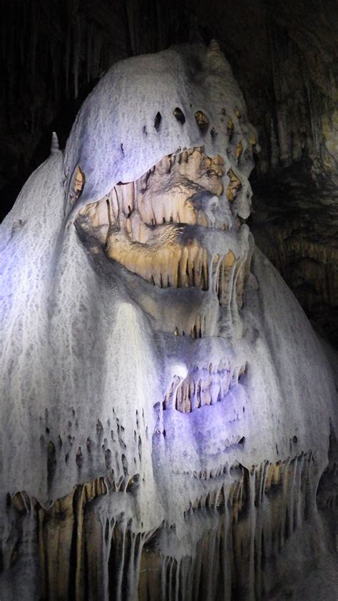 Carlsbad Caverns National Park in New Mexico | Carlsbad caverns ...