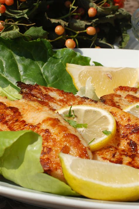 Cajun-Style Grilled Catfish Recipe | CDKitchen.com