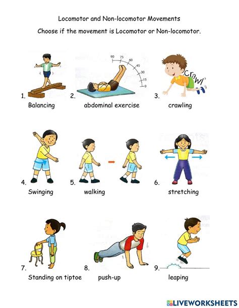 Locomotor And Non-locomotor Online Exercise For Live, 43% OFF