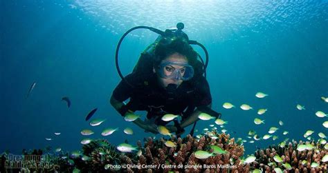 Diving + Snorkeling at Baros Resort Maldives | A PRO Diver Interview