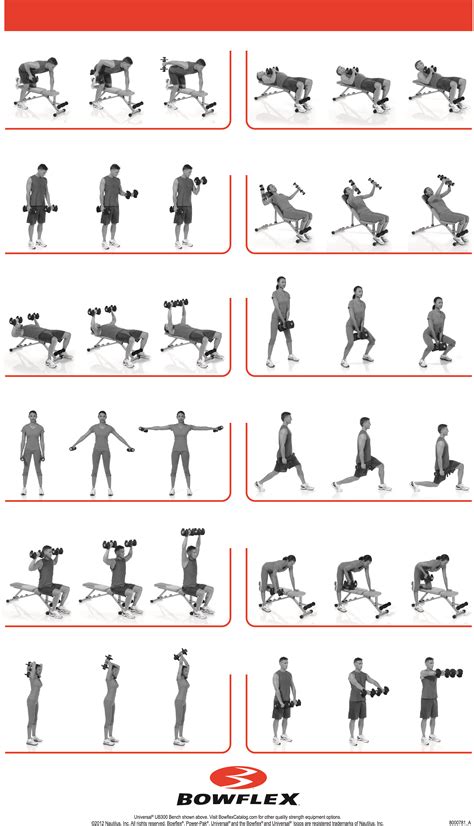 bow-flex dumbbell poster | Bowflex workout, Dumbbell workout, Workout posters