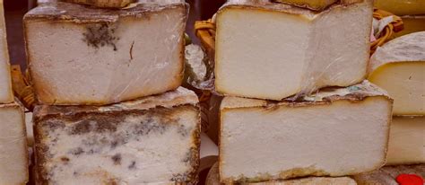 Castelmagno | Local Cheese From Province of Cuneo, Italy