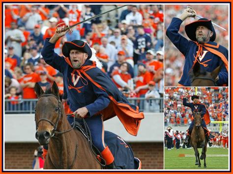 univeristy of virginia mascot | University of virginia, Univeristy ...