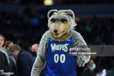 Timberwolves Mascot Photos and Premium High Res Pictures - Getty Images