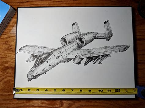 Warthog Plane Drawing