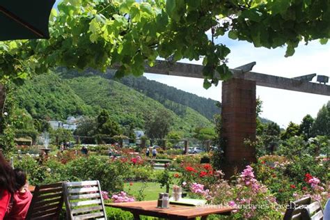 Wellington Botanic Garden - Photo Essay > What Boundaries? Live Your Dream!