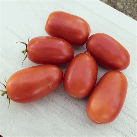 Roma Tomato Seeds | Italian Heirloom Tomatoes