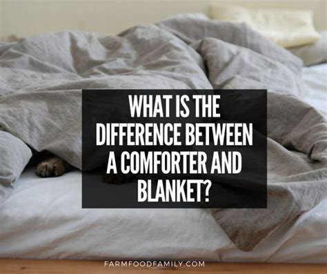 Comforter vs Blanket: Differences, Pros and Cons, Comforter Alternatives