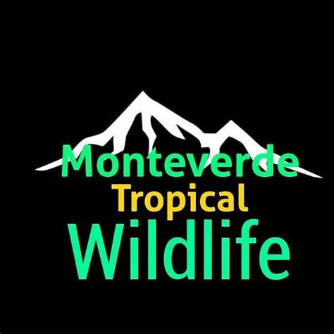 Monteverde Tropical Wildlife - All You Need to Know BEFORE You Go (2024)