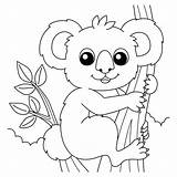 Koala Bear Coloring Page sketch template