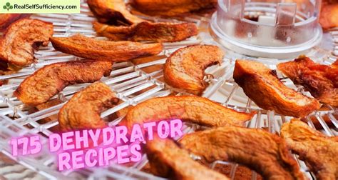 175 Dehydrator Recipes You're Sure to Love!