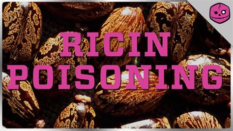 Ricin Poisoning: The Beans of Breaking Bad - YouTube