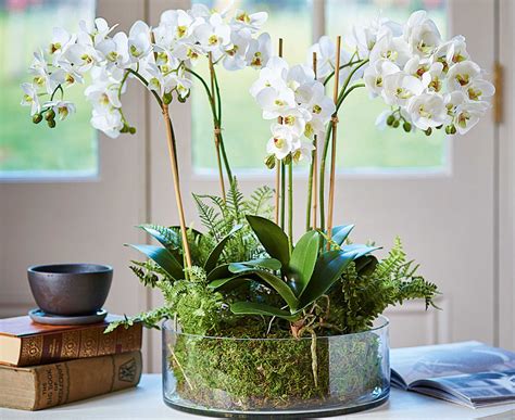 Bloom Orchid Fern Garden Arrangement Artificial Flower | Artificial orchids, Orchid flower ...