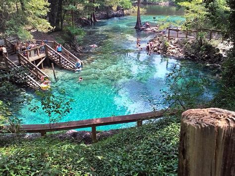 Florida Caverns State Park - Blue Hole Springs paint this | Swimming holes, Florida state parks ...