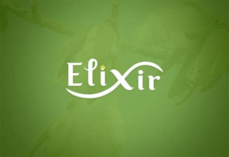 Elixir Logo - Byzero Technologies Portfolio - Byzero Technologies