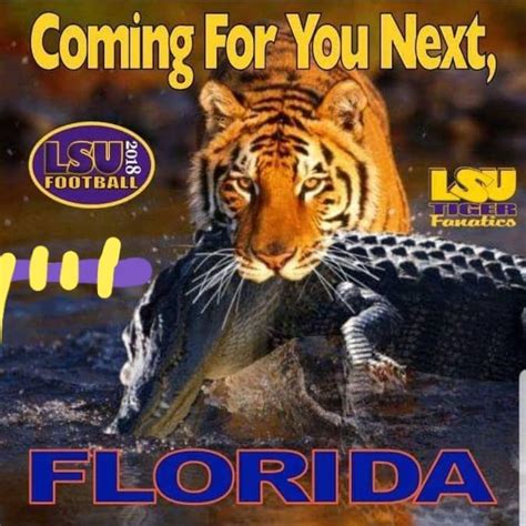 Geaux Tigers 💜💛💜💛🐾🐅 Ready for Game Day #foreverlsu | Lsu tigers football, Lsu football, Lsu