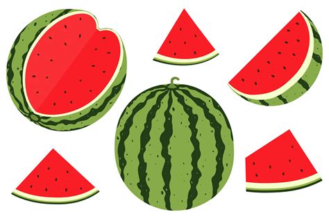 Watermelon vector. Watermelon clipart. Watermelon SVG. By IrinaShishkova | TheHungryJPEG